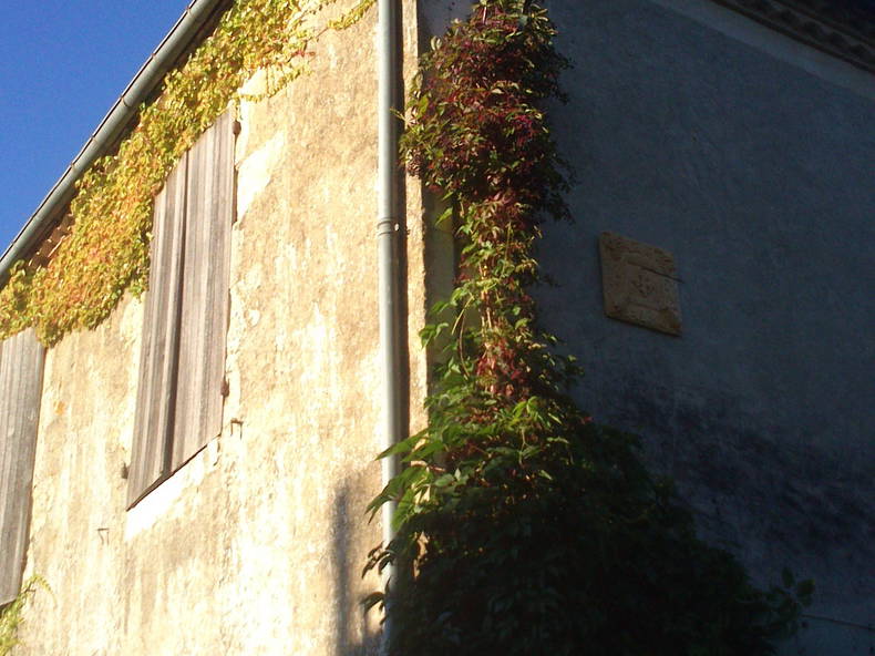 Gästrum Dému 60778-4