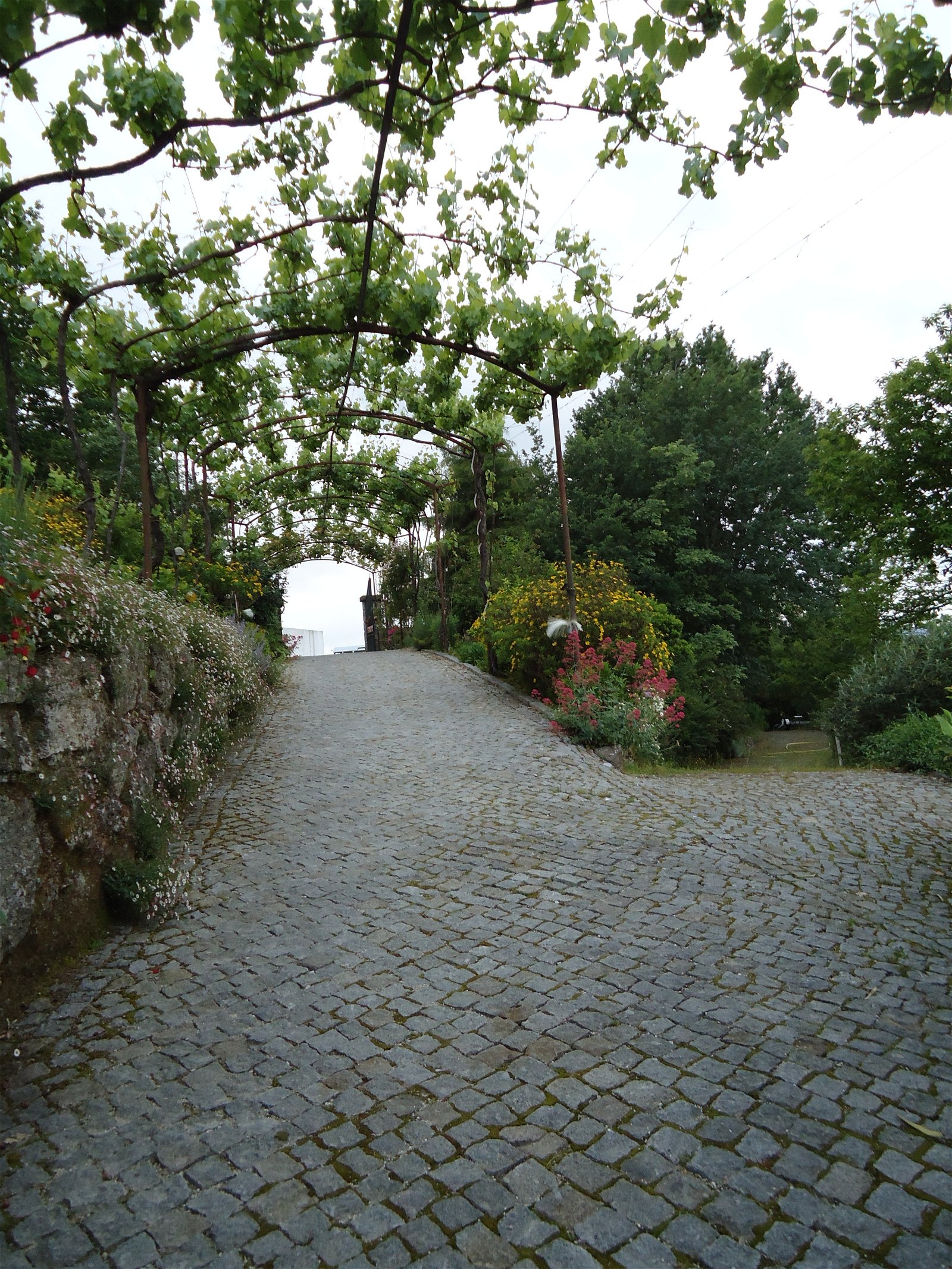 Quartos De Hóspedes Vila Chã do Marão 67967