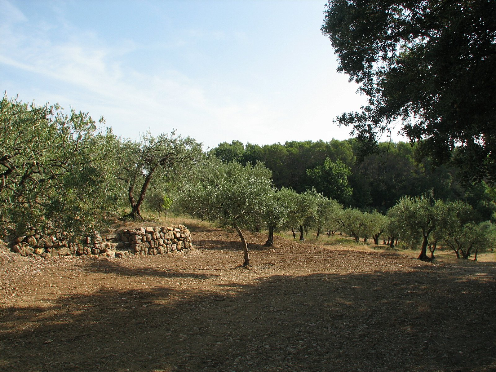 Kotimajoitus Draguignan 106563