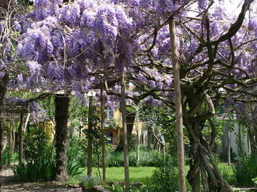 Chambre À Louer Gaillac 46884