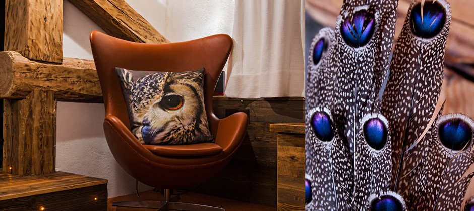 Habitaciones De Huéspedes Bourg-Saint-Maurice 96083