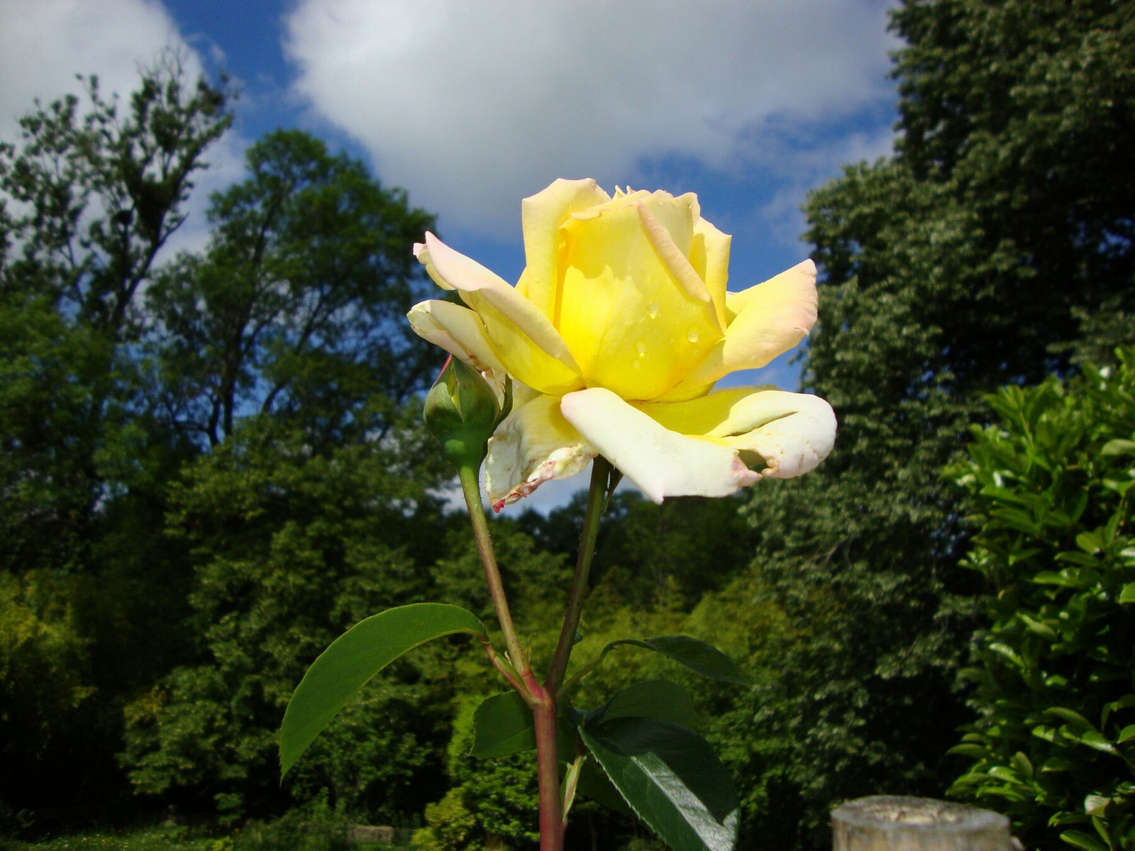 Vierashuoneet Solignac 75108