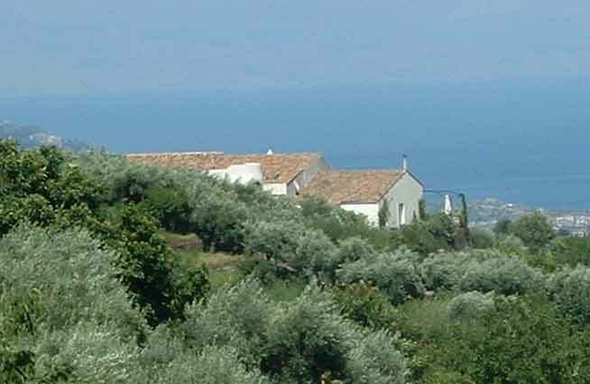 Onofhängeg Studio Piedimonte Etneo 76967