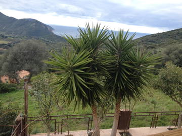 Chambre À Louer Ajaccio 30239