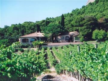 Roomlala | Chambres D'Hôtes À Louer - Séjour Entre Vignes Et Garrigue