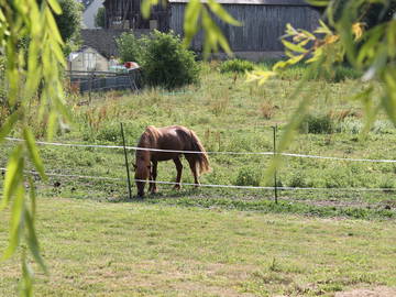 Chambre D'hôte Orbigny 126749-4
