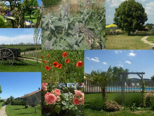 Homestay Cordes-sur-Ciel 38591