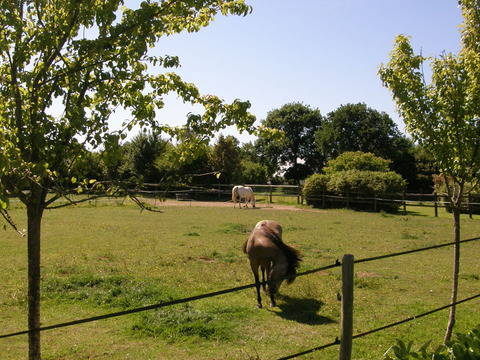 Bed And Breakfast Lannion 8240-2