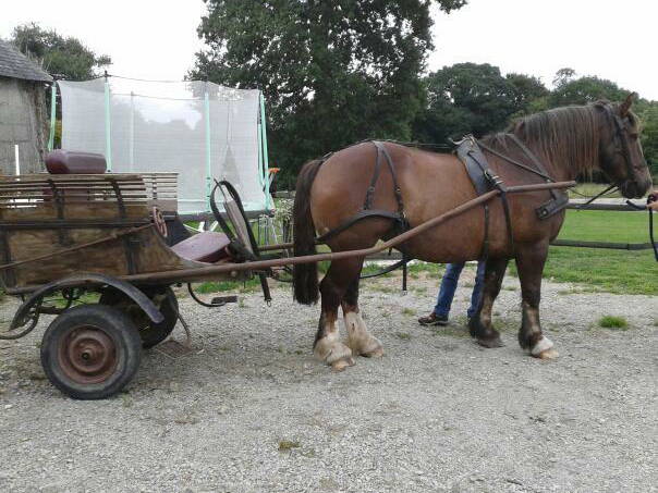 Bed And Breakfast Lannion 23008-4