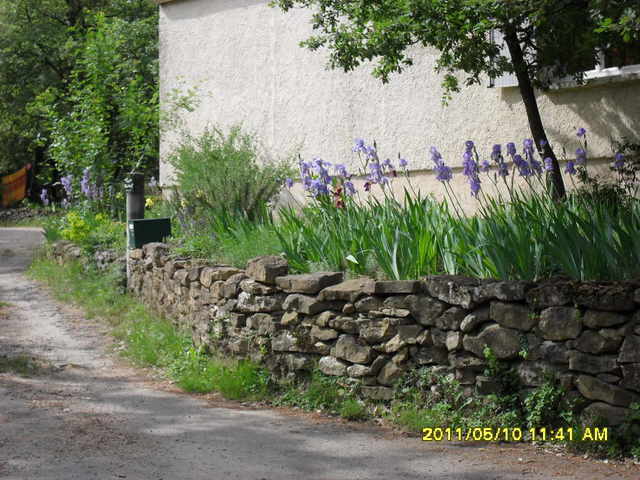 Gästezimmer Saint-Hippolyte-de-Caton 49405