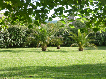 Chambre d'hôte à louer à Tourrettes - photo 5 : jardin-5