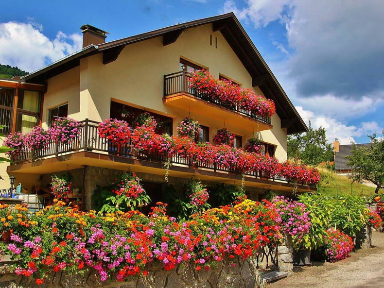 Chambre Chez L'habitant Sondernach 158392-2