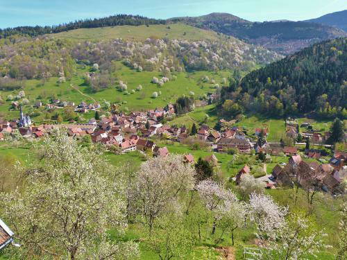 Chambre Chez L'habitant Sondernach 158392-4