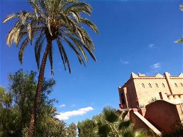 Roomlala | Chambres D'hôtes Palmeraie Bab Atlas Marrakech