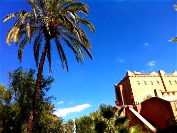 Roomlala | Chambres D'hôtes Palmeraie Bab Atlas Marrakech