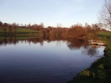 Chambre À Louer Montaigu-Les-Bois 36919