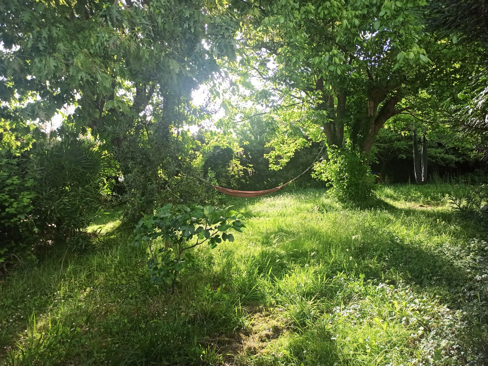 Chambre Chez L'habitant Angresse 514008