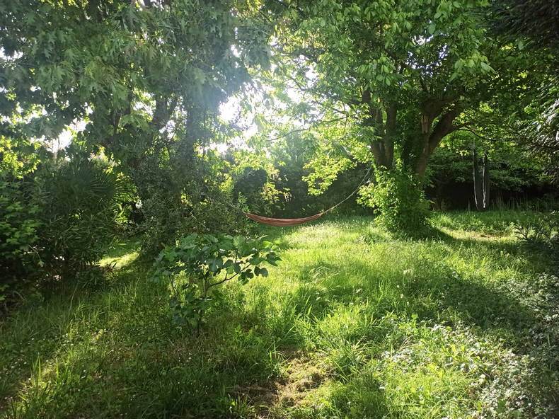 Gastfamilie Angresse 514008-1