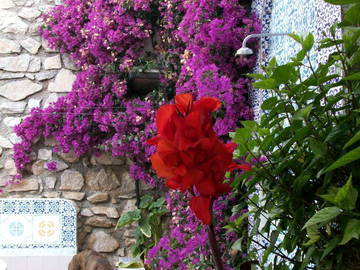 Chambre D'hôte Almuñécar 60949-9