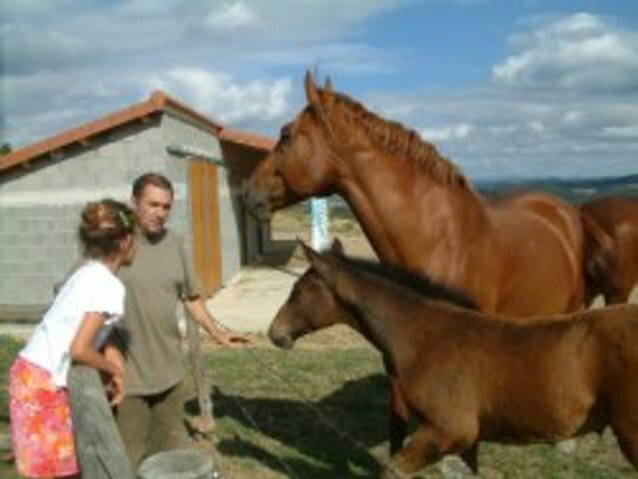 Bed And Breakfast Ferrussac 45277-5