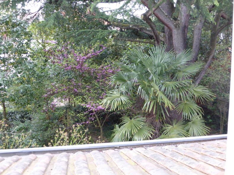 Quedarse En Casa Bordeaux 101459-4