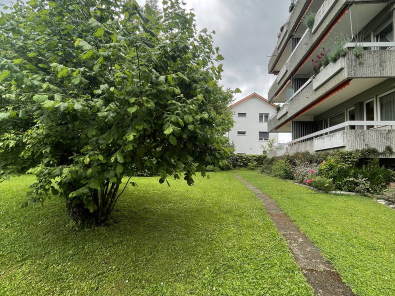 Colocation Lausanne 536662-1