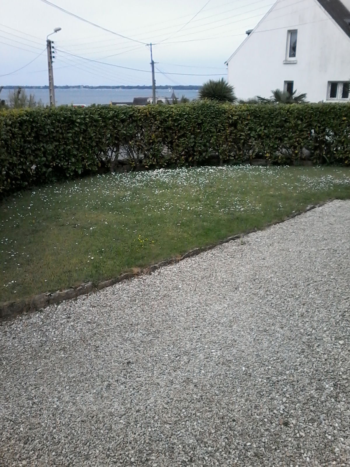 Colocation Concarneau 159819