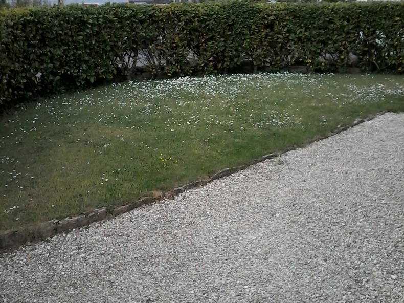 Kolokation Concarneau 159819-4