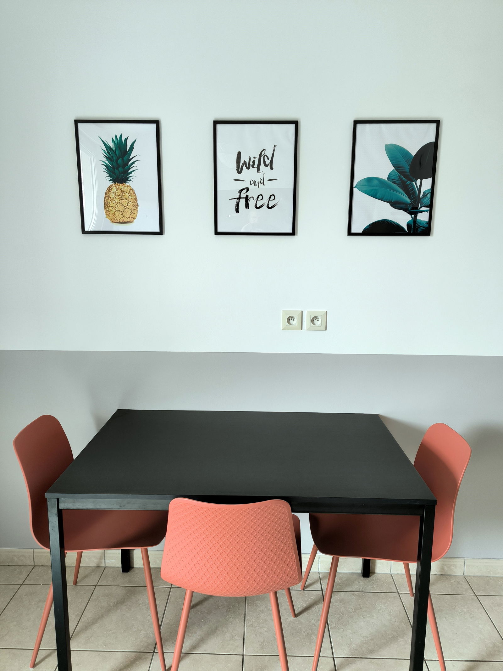 Colocation Grenoble 459997