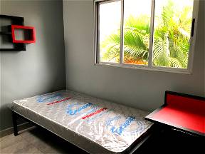 Private Möblierte Zimmer Zu Vermieten In San Jose, Costa Rica