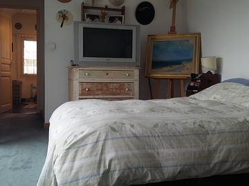 Chambre Chez L'habitant Meyzieu 131756-6