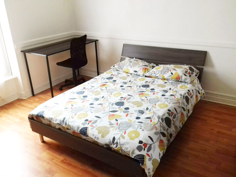 Kolokasie Clermont-Ferrand 258059-1