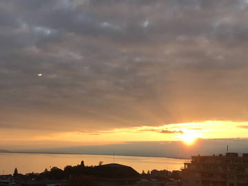 Homestay Lausanne 150653-8