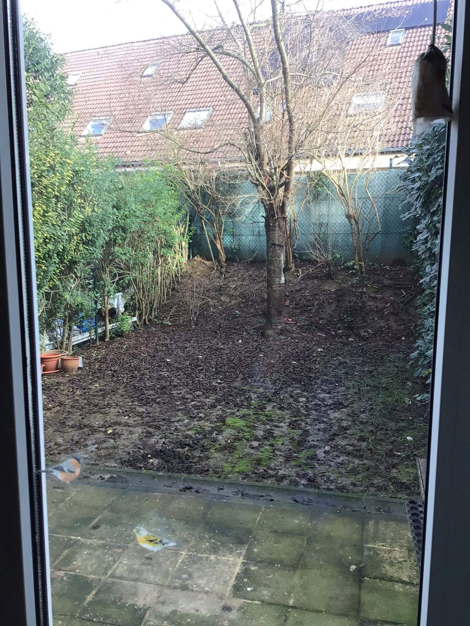 Homestay Forest 265732