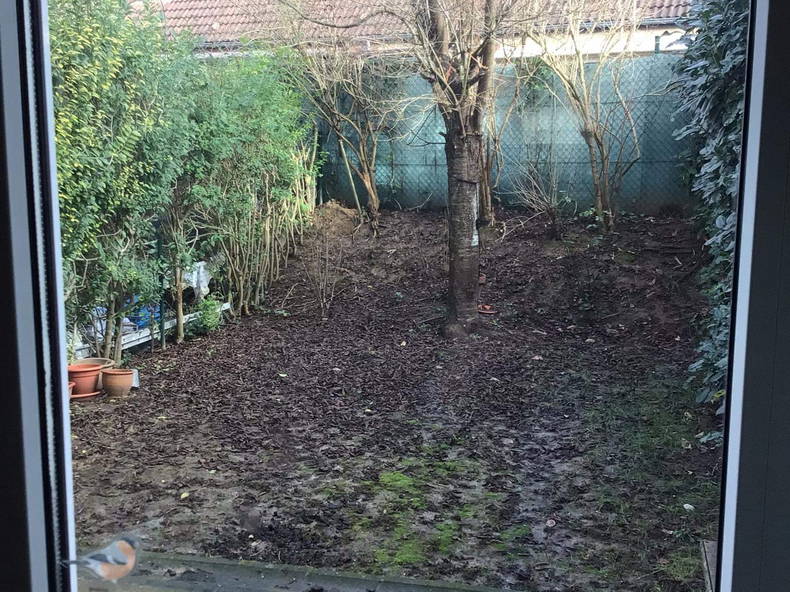 Chambre Chez L'habitant Forest 265732-2