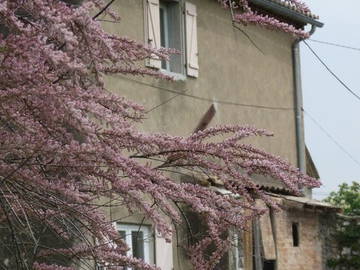 Toda La Casa Privas 48158-3