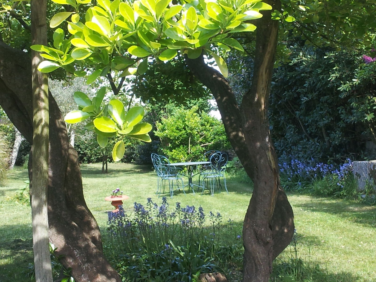 Unabhängiges Studio Sainte-Marie-de-Ré 167788