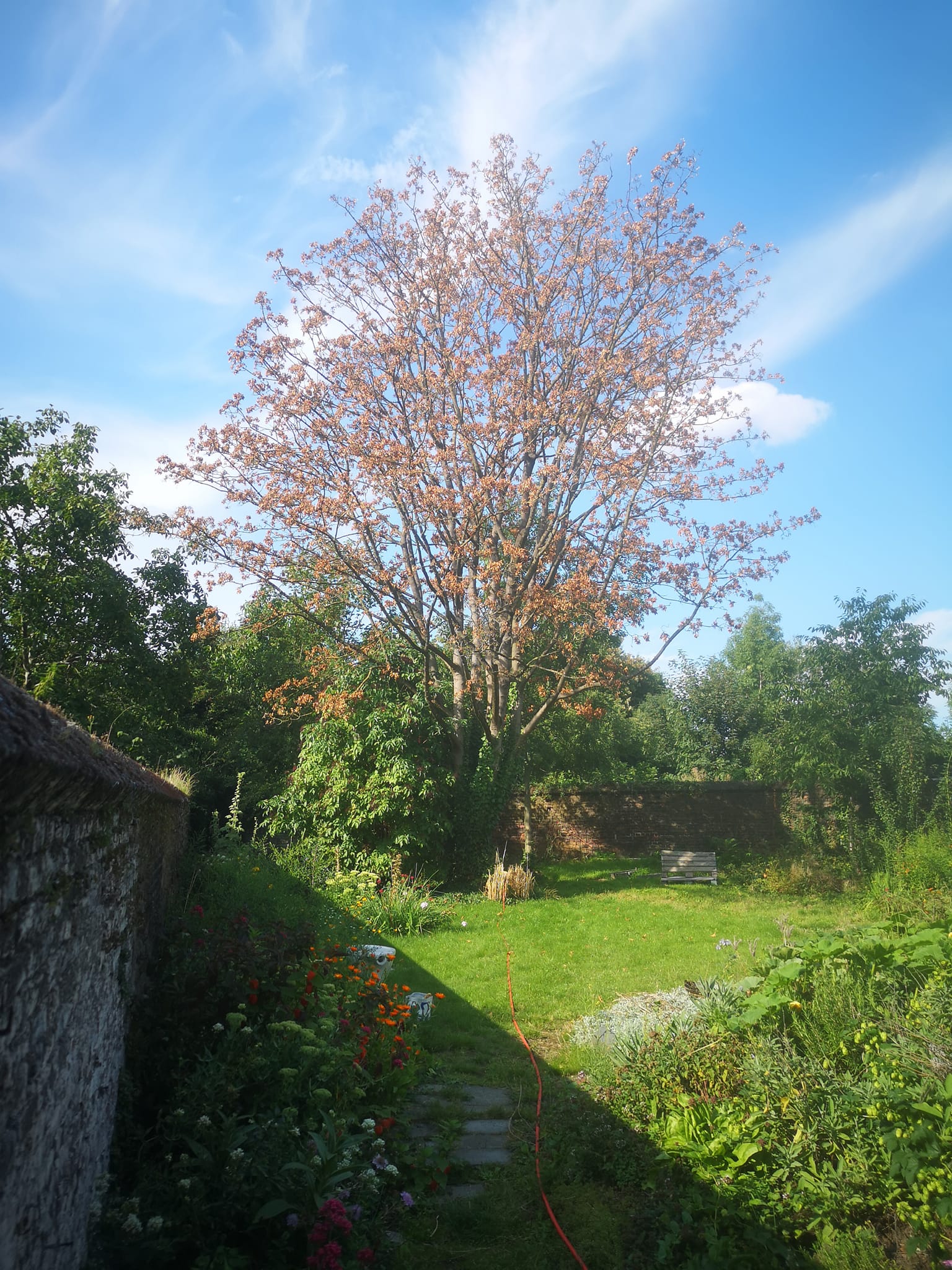 Collocazione Charleroi 329090