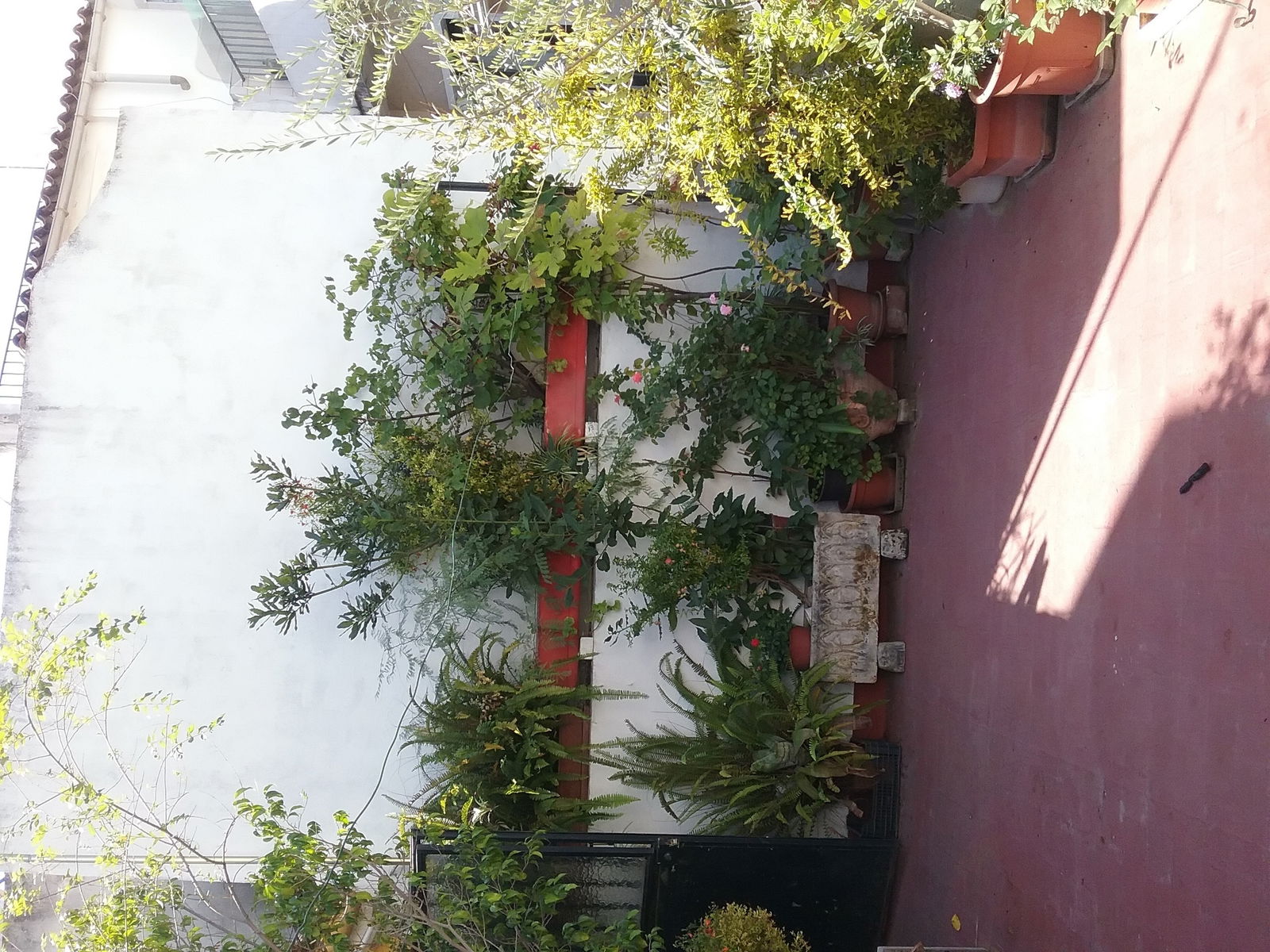 Colocation Córdoba 183922