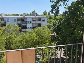 Logement entier à louer à Mulhouse - photo 21-21