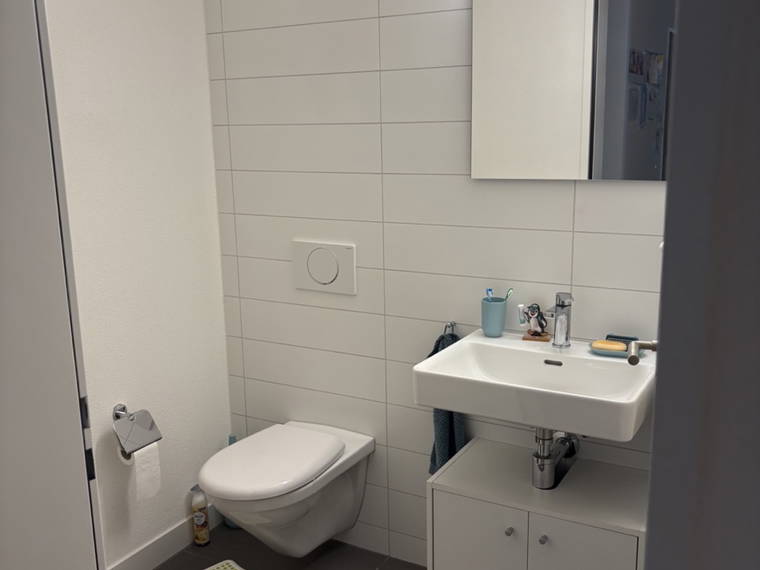 Colocación Dübendorf 580277