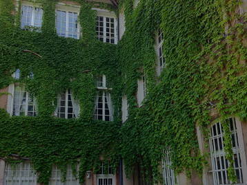 Entire Home Strasbourg 17870-3