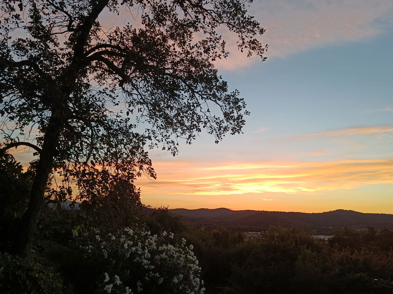 Studio Indépendant Vidauban 204165