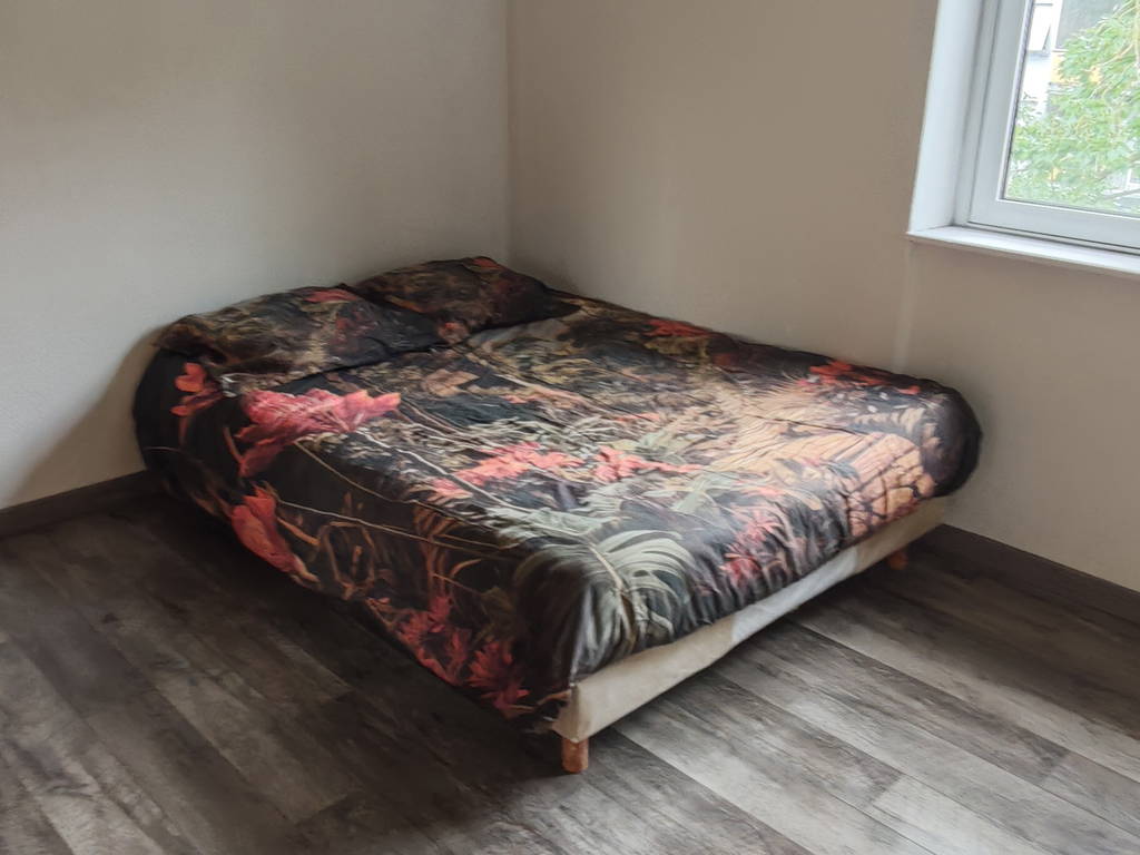 Logement Entier Mulhouse 667528-1
