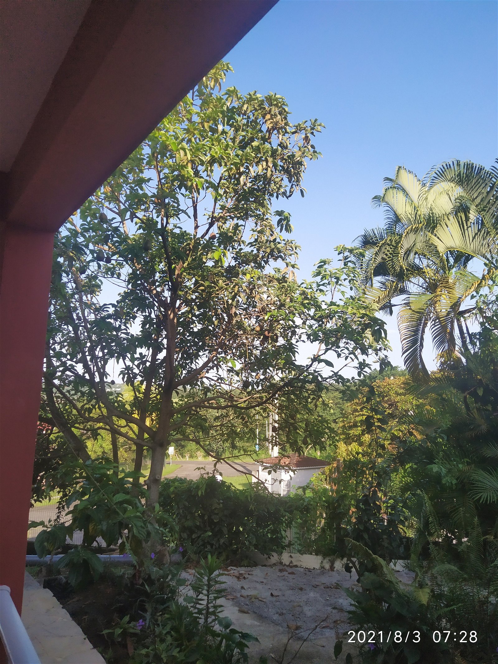 Casa Inteira Saint-Joseph 252542