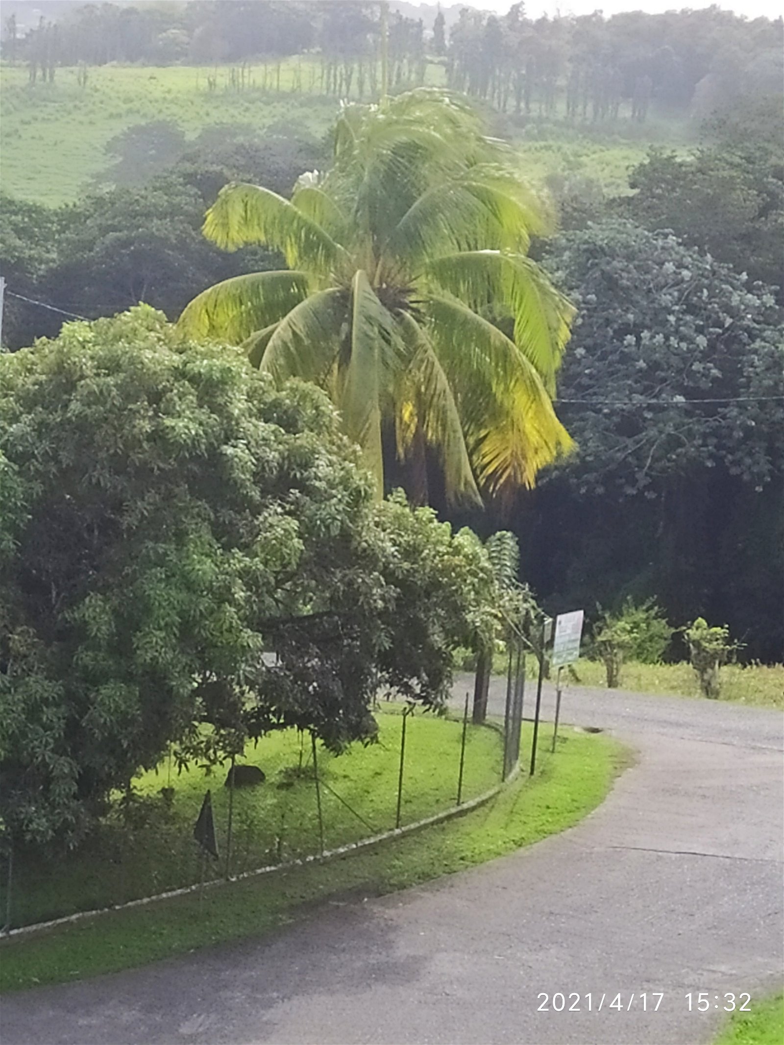 Casa Inteira Saint-Joseph 252542