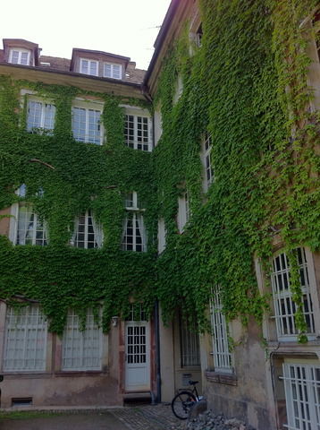 Onofhängeg Studio Strasbourg 17870