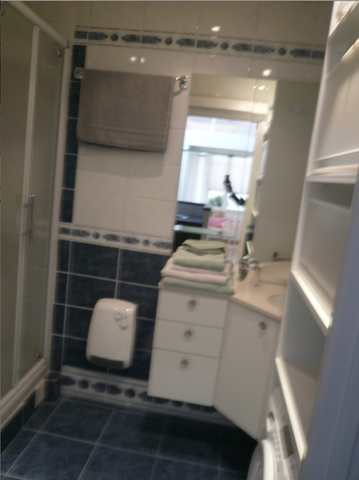 Ganz Haus Paris 49239