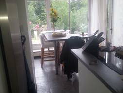 Chambre Chez L'habitant Vaires-Sur-Marne 199989-6