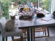 Chambre Chez L'habitant Vaires-Sur-Marne 199989-7